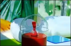 Quelle est la candidate qui a t limine  cause du tlphone rouge dans la saison 4 de Secret Story ?