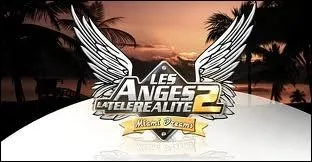 Quelle mission a rvl Brandon (Les anges 2  Miami) ?