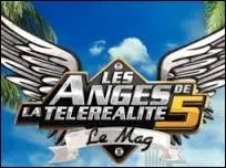 Quelle ex-candidate de Secret Story 5 co-prsente maintenant le mag d'NRJ12 aux cts de Matthieu Delormeau ?