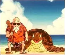 Pour faire la dmonstration du dplacement instantan  ses amis, Son Goku vole les lunettes de Kame Senin (Tortue Gniale). O se trouve ce dernier  ce moment ?