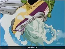 Qui se fait recracher par Cell aprs un violent coup de poing de Son Gohan ?