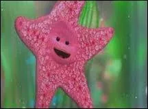 De quel magasin vient cet animal ?