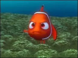 Quel est le problme de Nemo ?