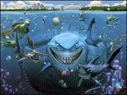 Combien de requins rencontrent Dory et Marin sur leur chemin ?