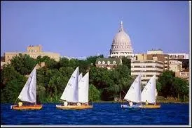 Fcules de pommes de terre