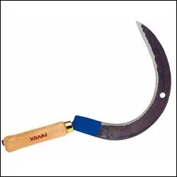 Associe longtemps au marteau sur un drapeau, elle a mme un col qui porte son nom. Quel est-il ?