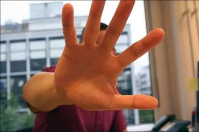 En Virginie-Occidentale, nous tombons sur :