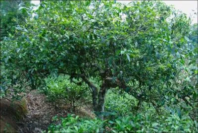 Il s'agit d'un petit village de la commune de Profondeville :