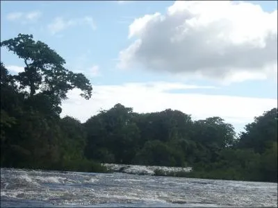 Chanson de Roy Orbison : Blue ...