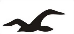 Cet oiseau vous indique... .