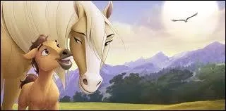 Qui est la jument aux côtés de Spirit ?