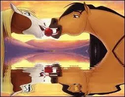 Comment se nomme la jument à gauche ?