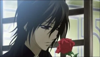 Quel est ce personnage de Vampire Knight ?