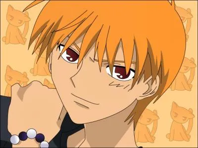 Quel est ce personnage de Fruits Basket ?