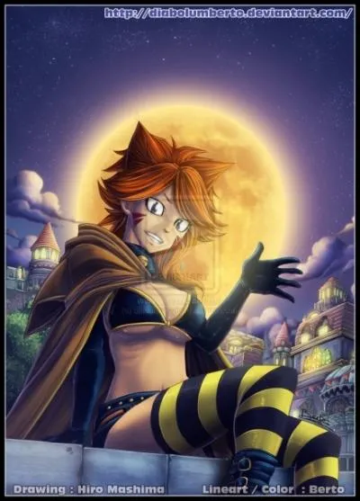 Quel est ce personnage de Fairy Tail ?
