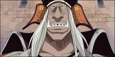 Quel membre des 'Chapeaux de paille' affronte Mikazuki à Water Seven ?