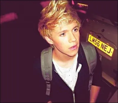 Niall Horan : Quel est son deuxime prnom ?