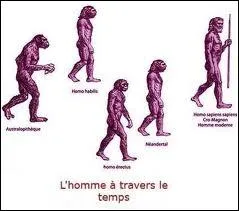 C'est dans la valle de Neander que furent mis au jour des ossements attribus  un prdcesseur de l'homme moderne, l' Homme de Nandertal . O se trouve cette valle ?