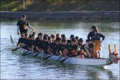 Ce sport venu tout droit de Chine est le :