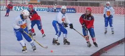 Cette discipline est identique au hockey sur glace  la diffrence que le palet est remplac par une balle. De quel sport s'agit-il ?