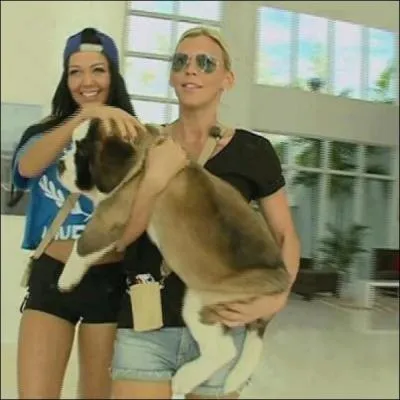 Quel est le nom de leur chien ?