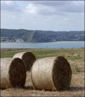  Grce  ces nombreux sites historiques, cette grande rgion agricole pourrait s'orienter vers le tourisme.  