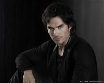 Quel est le nom de l'acteur qui joue le rle de Damon ?