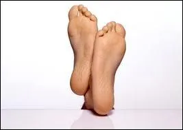 Le mot commence par : Chat ...