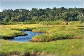 Le mot commence par : Cha ...