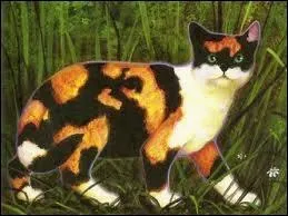 Et moi, je m'appelle :