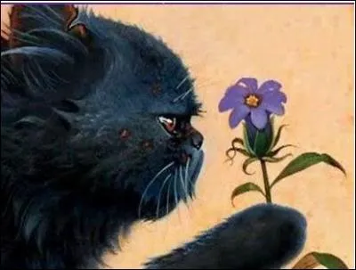 Quel est le nom de ce chat ?