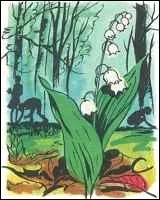 Combien de feuilles comporte un brin de muguet ?