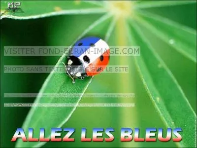 Hier et avant-hier on est all voir deux :