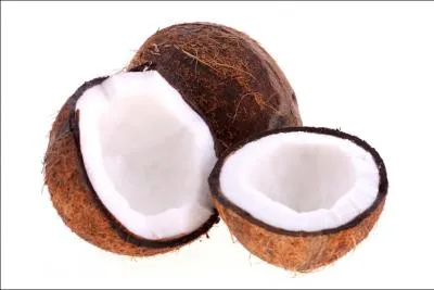 Comment dit-on noix de coco en anglais ?