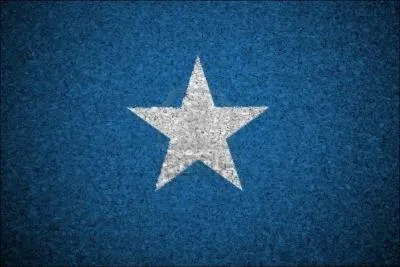 Le drapeau en photo appartient  un pays, mais lequel ?