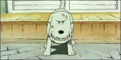 Comment s'appelle le chien que Luffy rencontre à Orange Town et dont le maître est Hokker ?