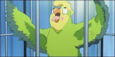 Comment se nomme le perroquet de Ryûji ?