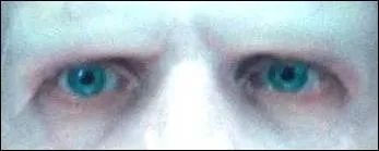  qui appartiennent ces yeux ?