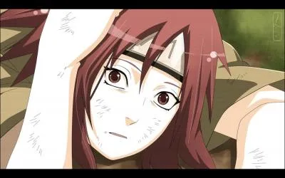 Quel est le nom de famille de Karin ?