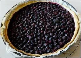 Voici une tarte aux bluets des Vosges, de quoi s'agit-il ?