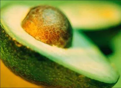 Mesdames et messieurs les jurs, mon client n'est pas coupable !