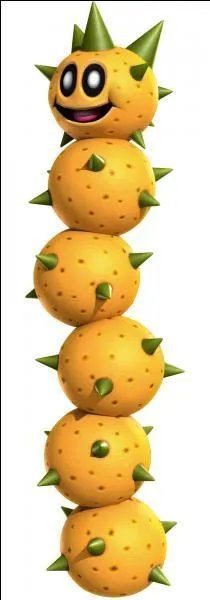 Quel est le nom de ce cactus ?