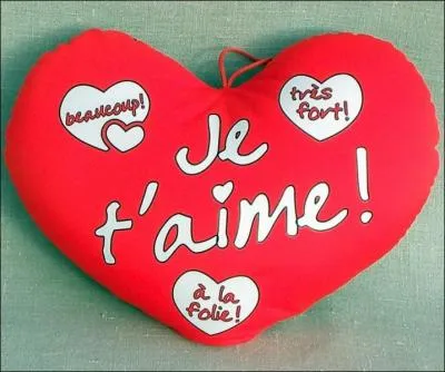 Qui a chant&eacute; : ''Mon coeur te dit je t'aime / Il ne sait dire que &ccedil;a / Je ne veux pas te perdre / J'ai trop besoin de toi'' ?
