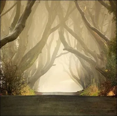 Car j'tais sur la route/ Toute la sainte journe... . Un superbe clich pour illustrer cette chanson de... . .