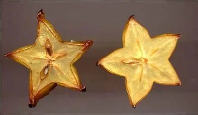 En coupe transversale, le fruit a la forme d'une toile  cinq branches. Donnez l'orthographe de :