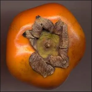 Qui regardez-vous par en-dessous ?