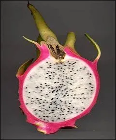 Vous le consommerez, le fruit du Dragon, cru  la petite cuillre.
