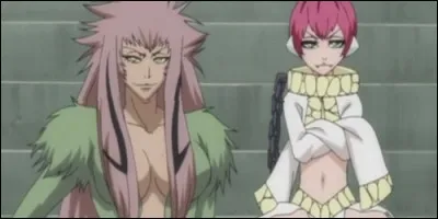 A quel shinigami appartient ce zanpatukô, sous sa forme humaine ?