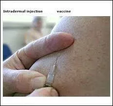 Lequel de ces vaccins est administr contre la tuberculose ?