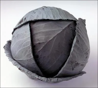 Quel nom porte-t-il ?